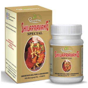 SHILAPRAVANG
